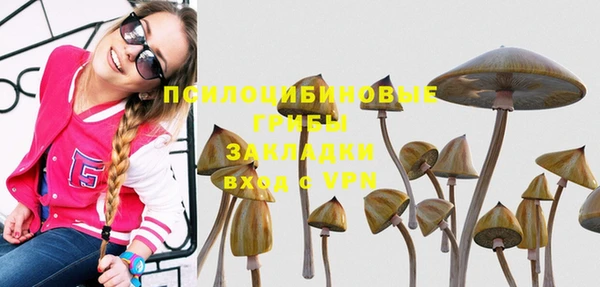 spice Лабытнанги