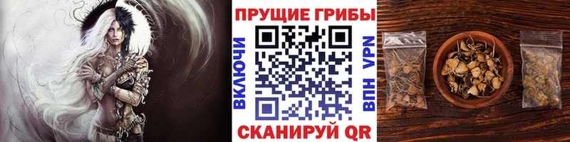 Галлюциногенные грибы Cubensis цена наркотик Темрюк