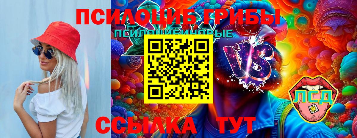 Галлюциногенные грибы прущие грибы Темрюк