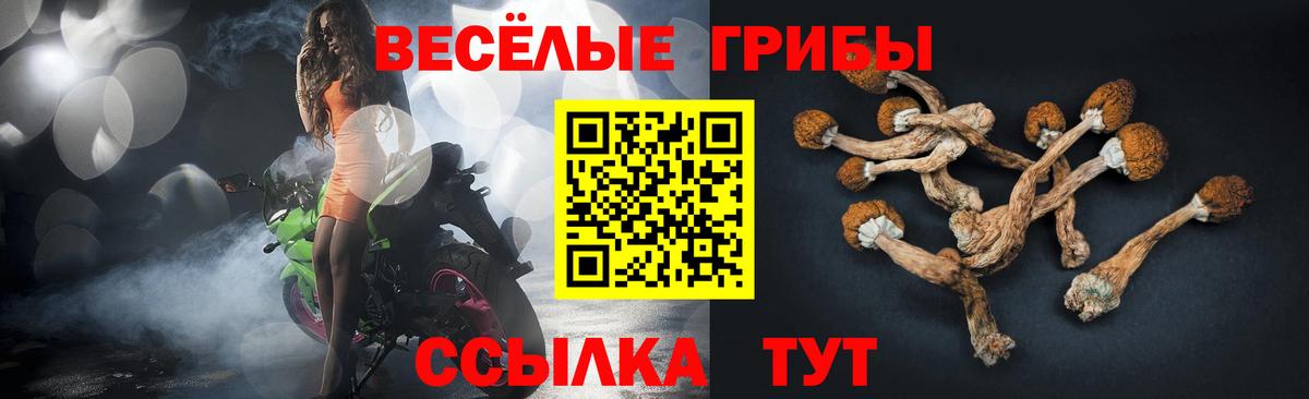 Галлюциногенные грибы мицелий  дарнет шоп  Темрюк  Вход с VPN 